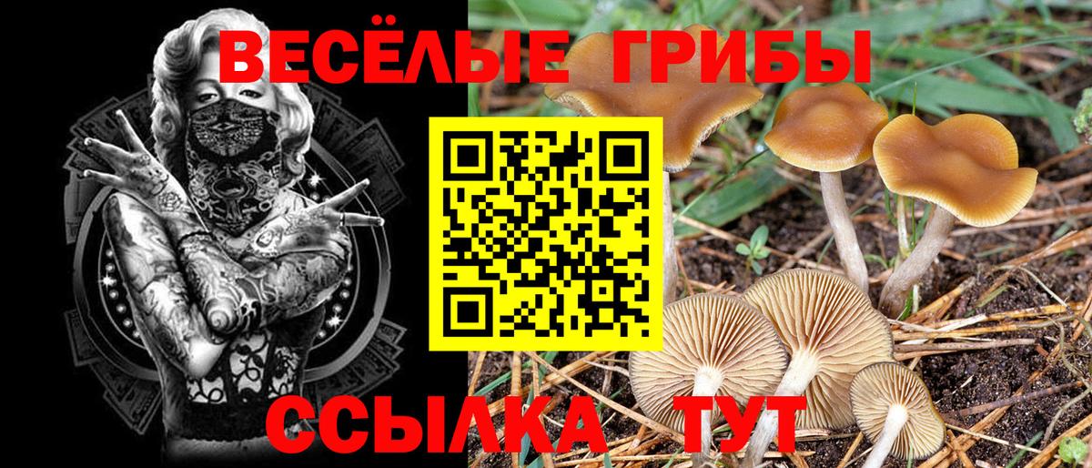 Гашиш  ГАШ  Cocaine  Ростов Великий  Мефедрон   MDMA  Конопля  Вход с VPN 