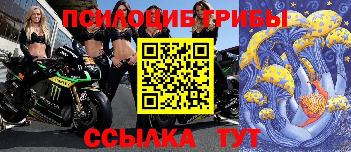 Псилоцибиновые грибы мухоморы  купить наркоту  Ростов Великий  Вход с VPN  Галлюциногенные грибы Cubensis 